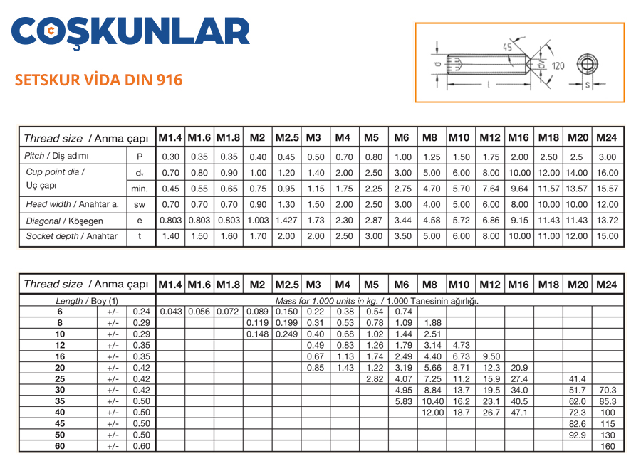 SETSKUR VİDA DIN 916