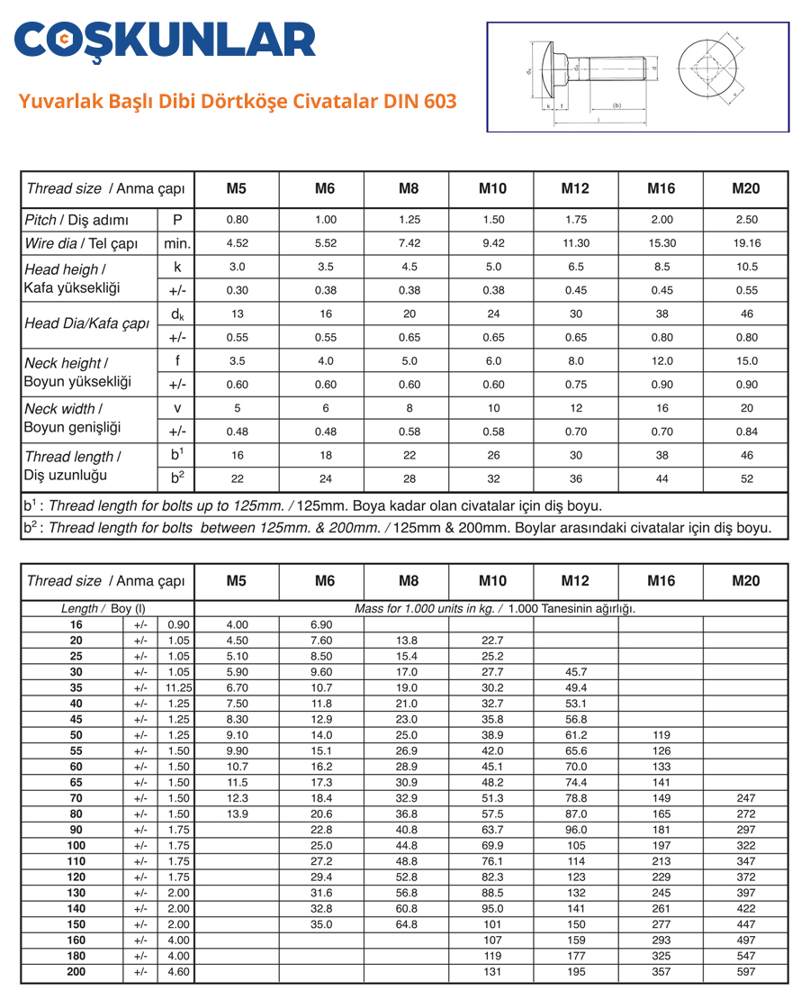 Yuvarlak Başlı Dibi Dörtköşe Civatalar DIN 603