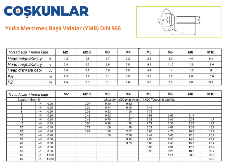 Yıldız Mercimek Başlı Vidalar (YMB) DIN 966